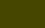 Frgpenna Polychromos - 173 Olive Green Yellowish
