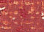 Oljepastell Sennelier 5 ml - Reddish Brown Gold (135)