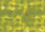 Oljepastell Sennelier 5 ml - Chromium Green Light (086)