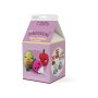 Amigurumi-kit med gr�nsaker