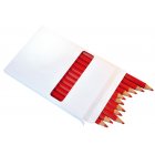 Frgpennor XL 12st - Orange