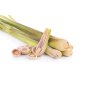 Doftolja citronella 27 ml för ljus Doftolja citronella 27 ml för ljus