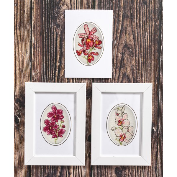 Broderisett orkideer kartong 6x9 cm - 3-pakning Broderisett orkideer kartong 6x9 cm - 3-pakning