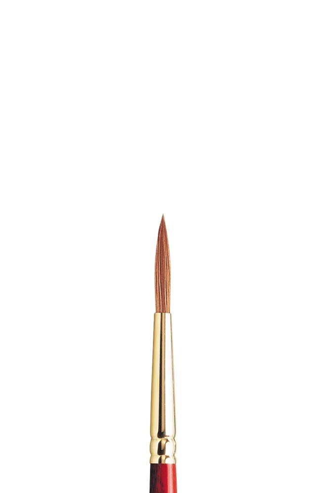 Blandpensel W&N Sceptre Gold II Serie 202 - Nr. 6 - Akvarellpenslar, Penslar