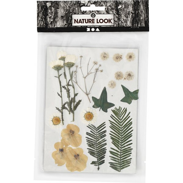 Torkade blommor och blad - råvit Torkade blommor och blad - råvit