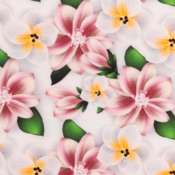 Mönstrad Trikå 160 cm - Plumeria Gammaldags Rosa Mönstrad Trikå 160 cm - Plumeria Gammaldags Rosa