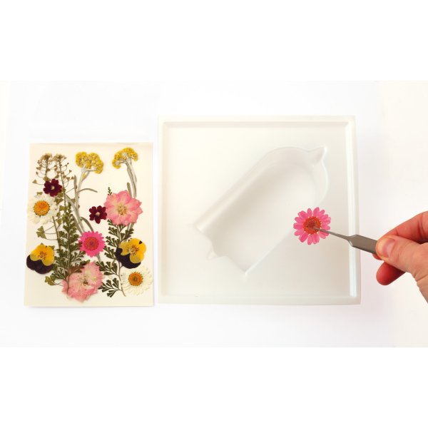 Ljuskit med torkade blommor och geometriska formar Ljuskit med torkade blommor och geometriska formar