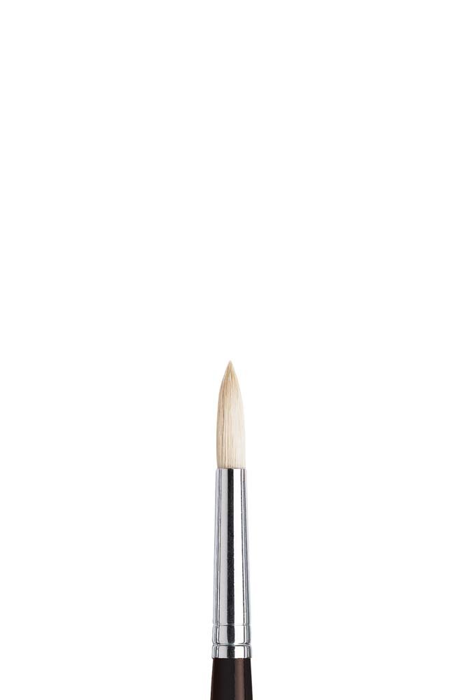 Grisebustpensel W&N Azanta Black Round - nr. 6 - Akrylpensler, Pensler