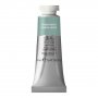 Akvarellfärg W&N Professional 14ml Tub - 637 Terre verte