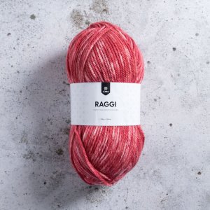 Raggi 100g Rose Hip Melange