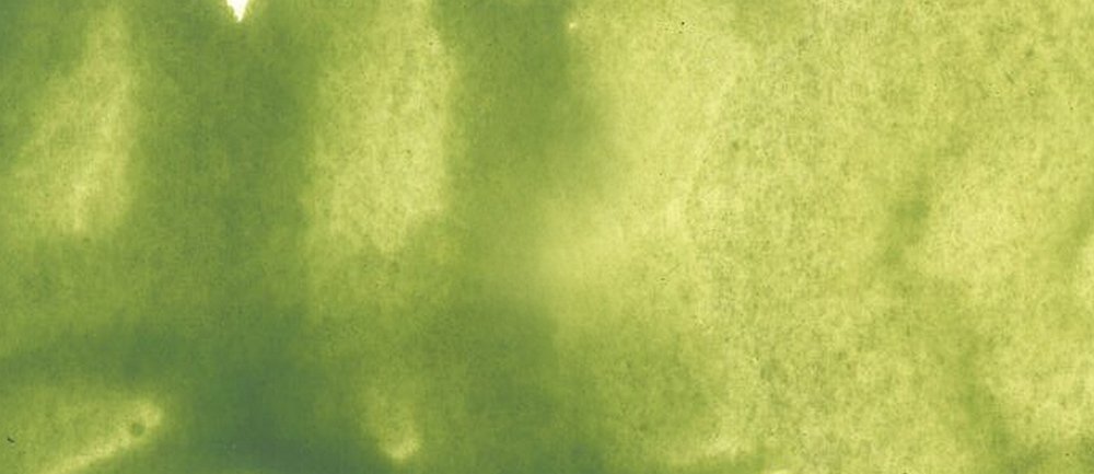 Akvarelmaling ShinHan Premium PWC 15ml - Terre verte (gul nuance)(561) - Akvarelfarver, Kunstnerfarver