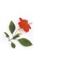 Doftolja hibiskus för ljus, 27 ml Doftolja hibiskus för ljus, 27 ml