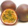 Doftolja till ljus 27 ml - passionsfrukt Doftolja till ljus 27 ml - passionsfrukt