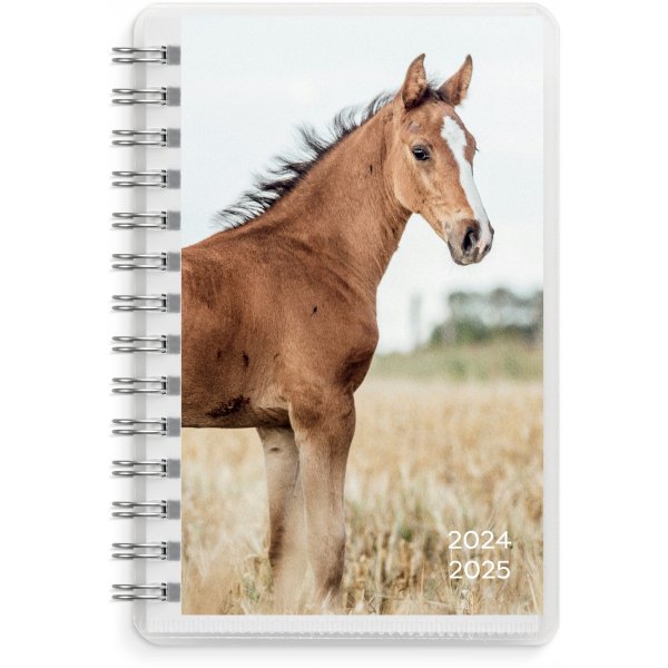 Kalender 24/25 Compact - Pets Kalender 24/25 Compact - Pets