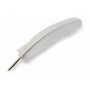 Kalligrafi Manuskript Quill Pen - Ivory