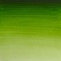 Akvarellmaling W&N Professional 5 ml Tube - 503 Permanent sap green
