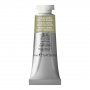 Akvarellfärg W&N Professional 14ml Tub - 638 Terre Verte (Yellow Shade)