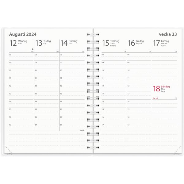 Kalender 24/25 Study - A6 - 4i1