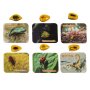 Utgrävningsset Bärnsten med Insektsfossil för Barn Utgrävningsset Bärnsten med Insektsfossil för Barn