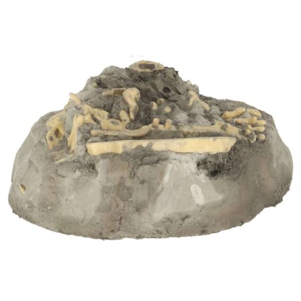 Experimentset Vulkan och Dinosauriefossil 16 x 11 x 8,5 cm - 6+ år Experimentset Vulkan och Dinosauriefossil 16 x 11 x 8,5 cm - 6+ år