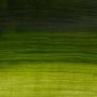 Oljemaling W&N Artisan Vannløselig 37ml - 503 Permanent sap green