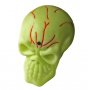 Spooky Skull USB