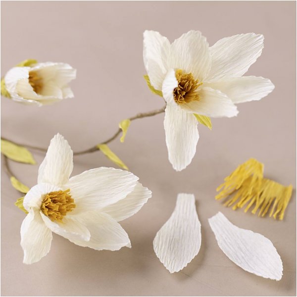 Mini DIY Kit Kräppapper - Magnoliakvist Mini DIY Kit Kräppapper - Magnoliakvist