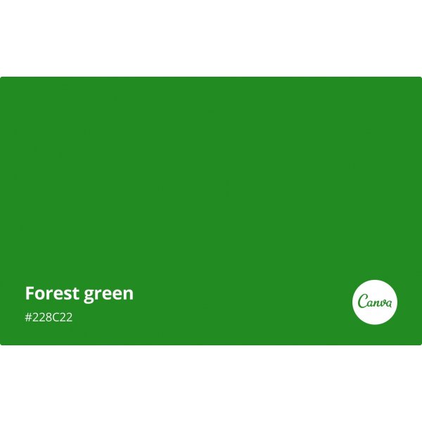 Pollen Sm kort 70x95 - 25-pack - Skog grn