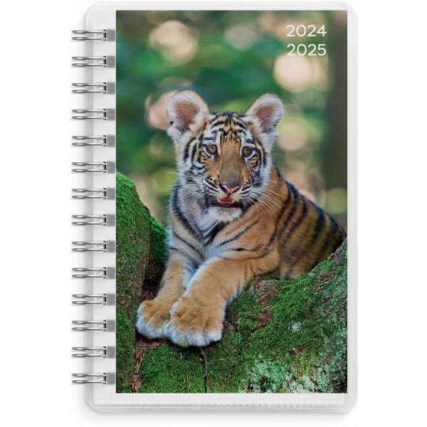 Kalender 24/25 Compact - Pets Kalender 24/25 Compact - Pets