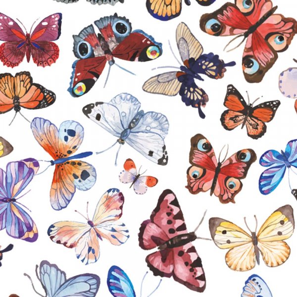 Mnstrad trik - Papillon Vit