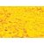 Pigment Sennelier 1Kg - Cad Yellow Deep Sub (-N 543)