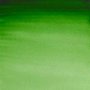 Akvarellmaling W&N Professional 5 ml tube - 311 Hooker's green