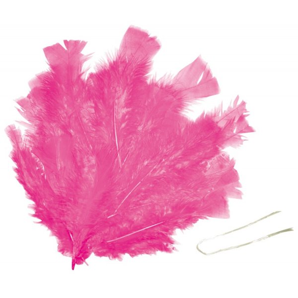 Pskfjdrar 48 st rosa