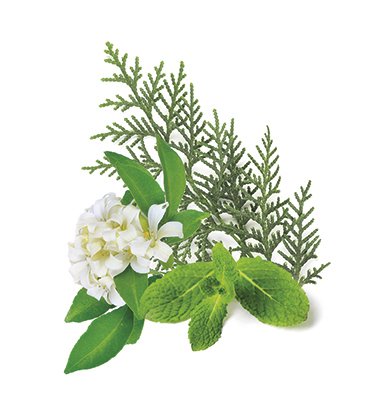 Tvålparfym fresh awakening 27 ml Tvålparfym fresh awakening 27 ml