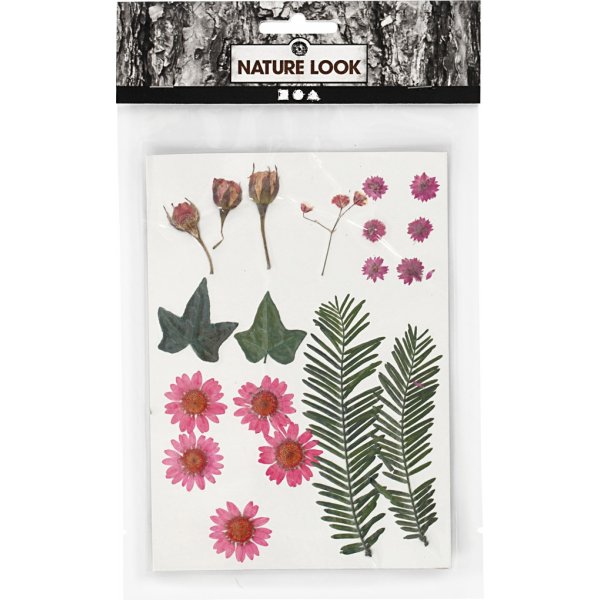 Torkade blommor och blad - ljusröd Torkade blommor och blad - ljusröd