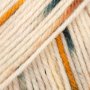 DROPS Fiesta Long Print garn 50g - Soliga minnen (40)