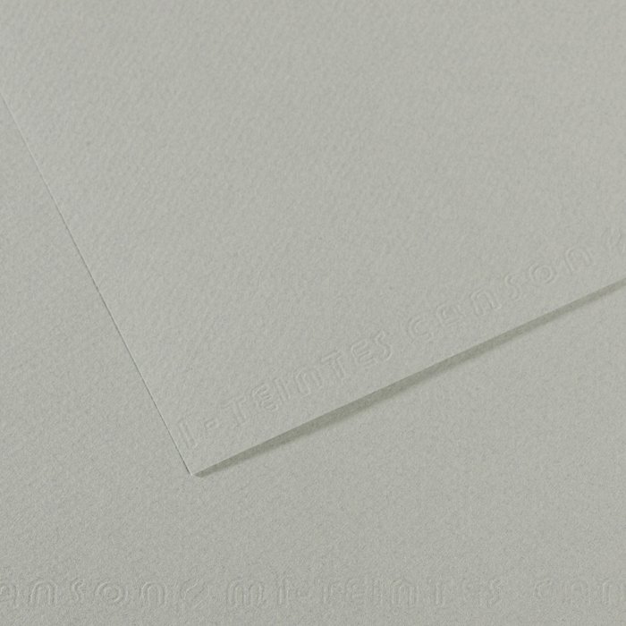 Canson Mi-Teintes 160 g A4 - GRI 354 - Pastelblok, Blok
