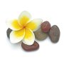 Doftolja till ljus 27 ml - tropiska blommor Doftolja till ljus 27 ml - tropiska blommor