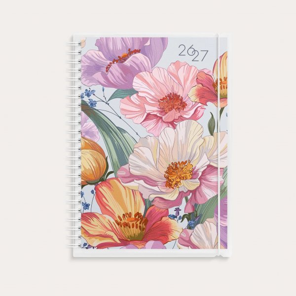 Kalender 26/27 Senator - A5 - 4i1