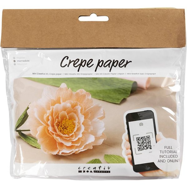 Mini DIY Kit Kräppapper - Pion Mini DIY Kit Kräppapper - Pion
