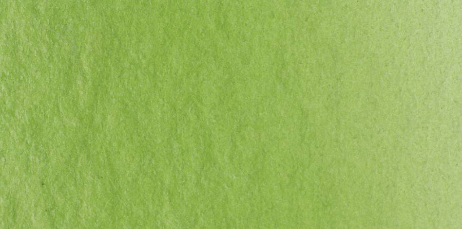 Akvarelmaling/Vandfarver Lukas 1862 24 ml - Sap Green (1165) - Akvarelfarver, Kunstnerfarver