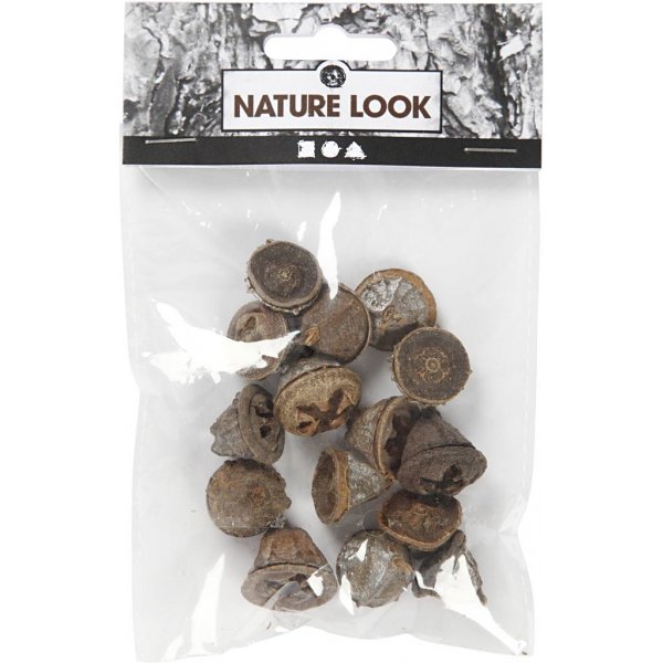Eukalyptuskottar - 25 g Eukalyptuskottar - 25 g